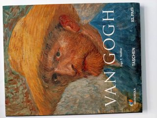 Van Gogh: 1853-1890 (Visión y realidad)