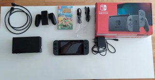 Nintendo Switch + Animal Crossing