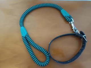 Correa y collar para perro