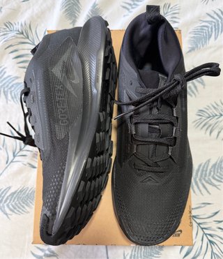 Nike Pegasus Trail 5 GTX