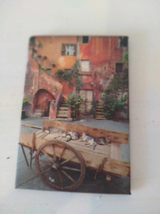 Imán de Nevera con Gatos