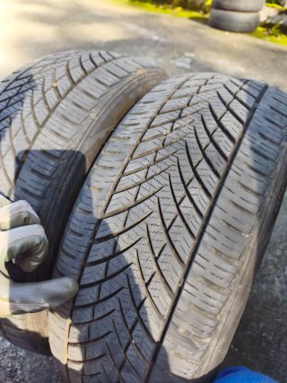 Neumáticos 195/55 R15
