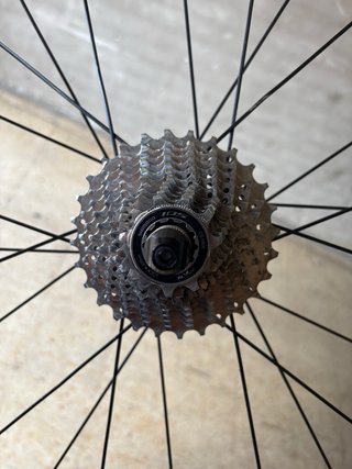Juego de Ruedas DT Swiss RC55C Spline
