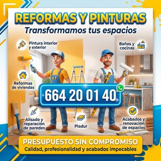 PINTOR ECONÓMICO Y REFORMAS
