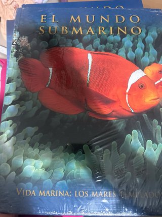 El Mundo submarino
