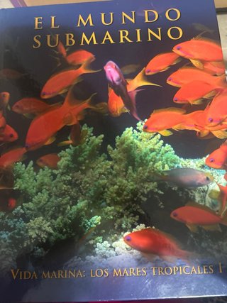 El Mundo submarino
