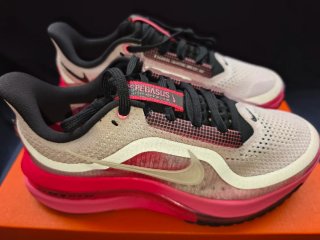Nike Pegasus Premium