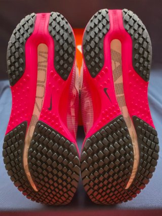 Nike Pegasus Premium