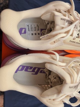 Nike Pegasus Premium