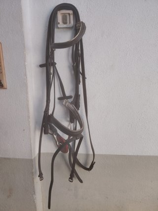 Cabezada inglesa completa