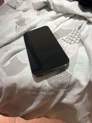 iPhone 13 Pro Max Nero/Argento