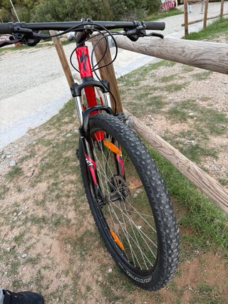 Bicicleta Specialized 29 Talla L