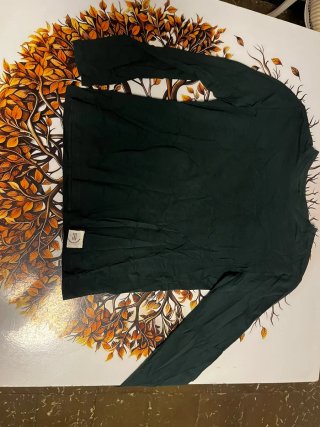 Lote 5 Camisetas Zara Hombre Tallas variadas.