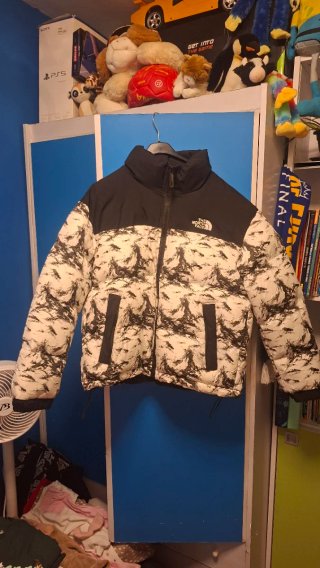 Chaqueta The North Face