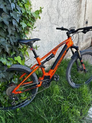 Megamo ridon fs electrica.