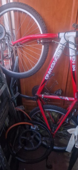 Bicicleta Infantil Boomerang Aro 24