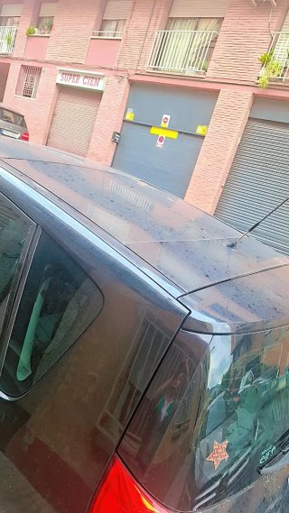 Renault Scenic 2009