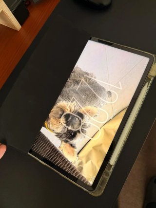 Apple iPad Plata/Gris Espacial