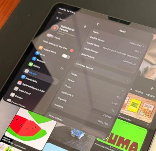 Apple iPad Plata/Gris Espacial