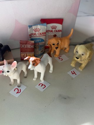 Miniature di gatti e cani