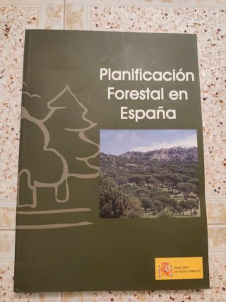 Planificación forestal en España: enero 2004