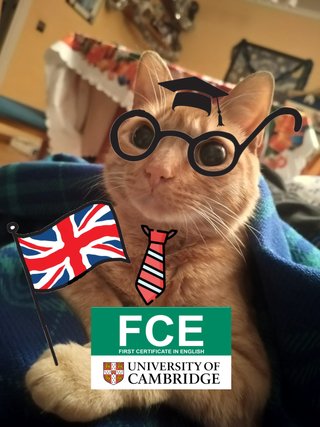Clases particulares de inglés (FIRST) + Titulación