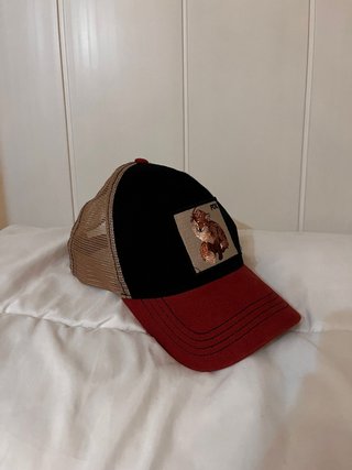 Gorra Fox Multicolor