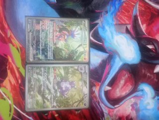 2 Cartas Pokémon Koraidon EX y Nidoqueen
