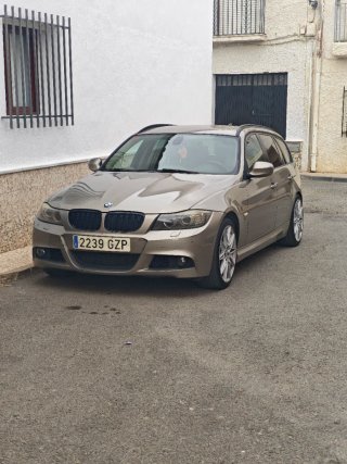 BMW Serie 3 2010
