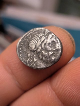 Moneda Romana Quinario Republicano Gens Cornelia