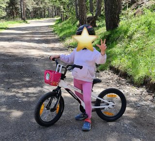 Bicicleta Infantil Specialized Hotrock