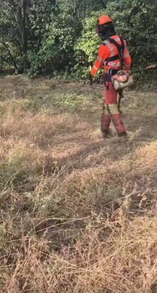 jardinería y mantenimiento