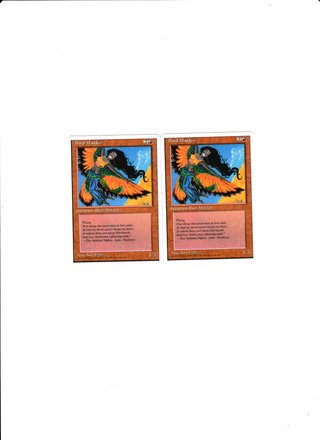 2x Magic the Gathering Bird Maiden