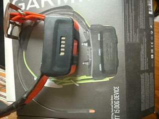 Garmin Alpha 100 con collar TT15