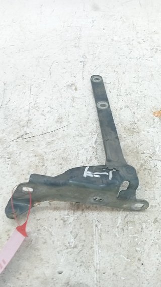 863190 BISAGRA CAPO IZQUIERDA ROVER 75 (RJ)