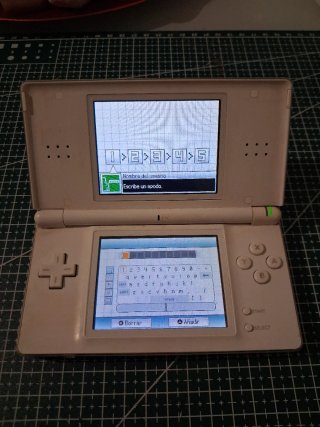 Nintendo DS Lite