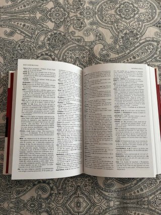 Diccionario de uso del español