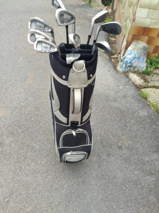 Juego de Palos de Golf con Bolsa