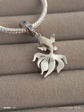 Charm pez betta