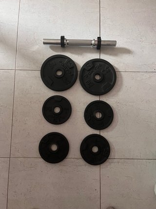 Mancuerna Domyos con Discos de Pesas