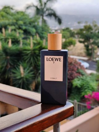 Perfume Loewe 7 Cobalt 100 ml