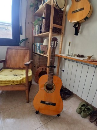 Guitarra Clásica Euphony Española