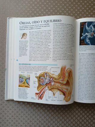 Gran libro de la ciencia
