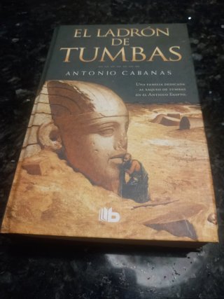 El ladrón de tumbas