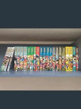 Lote manga Pokémon