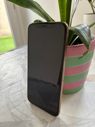 iPhone Xs Oro Rosa