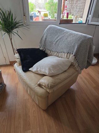 Sillón de Piel Beige Natuzzi
