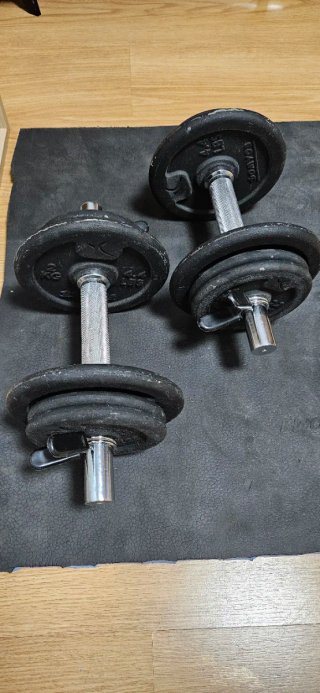 Juego 2 Mancuernas 10kg