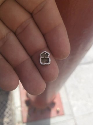 Pendientes Oso Tous Plata