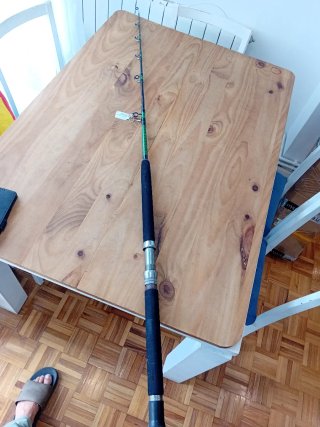 Caña juli curri Mike 165m 15/30lb